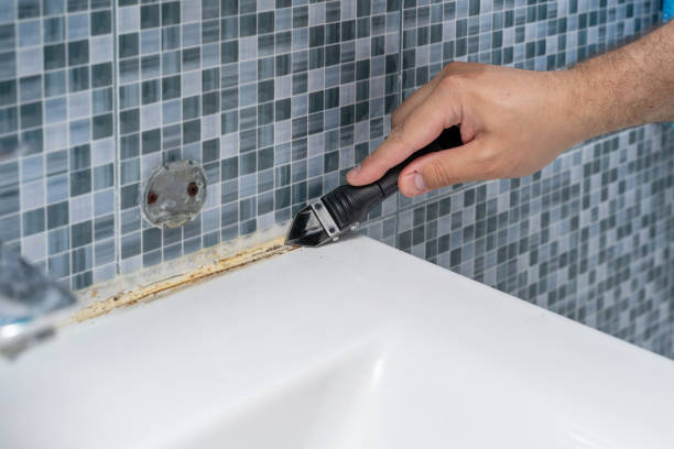 Best Mold Cleaning Services  in Flat Rock, NC